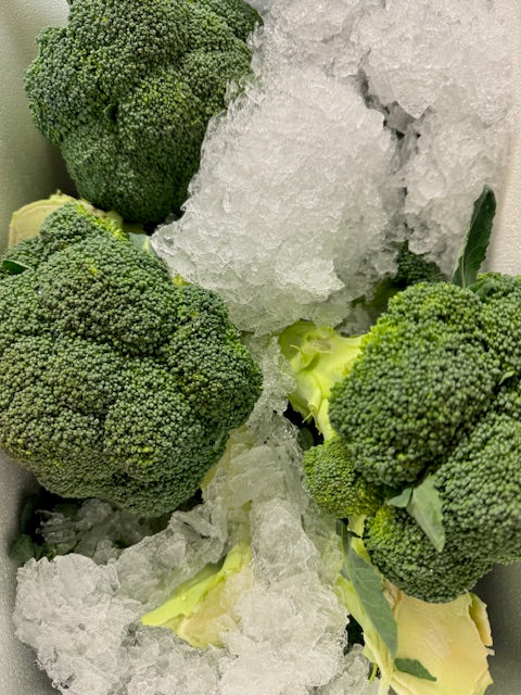 UK & European Fresh Produce Update – 14 August 2026