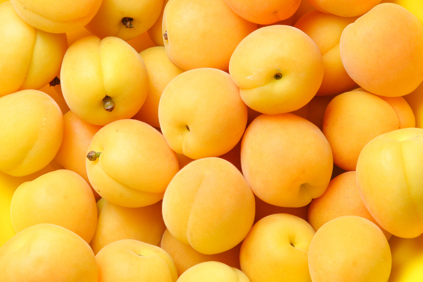 Apricot Punnet - 500G