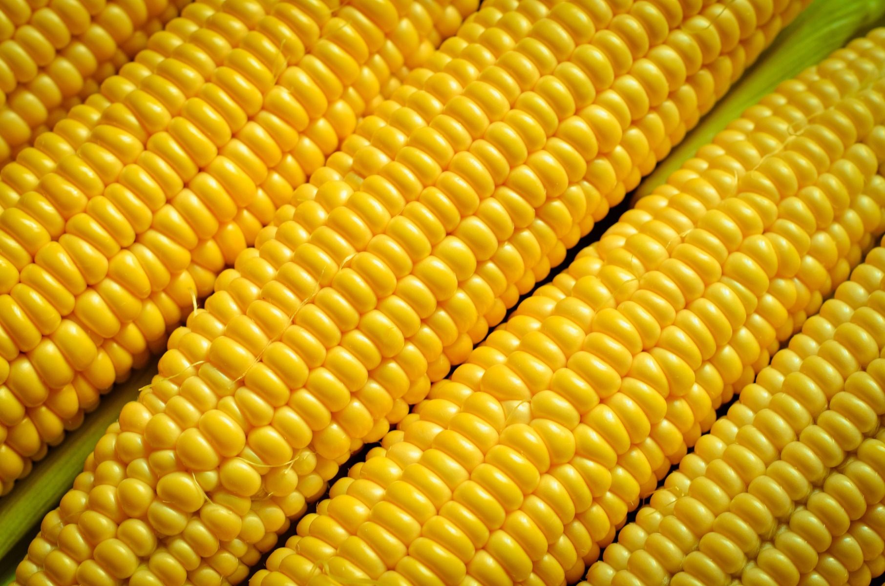 Vac Pac Sweetcorn