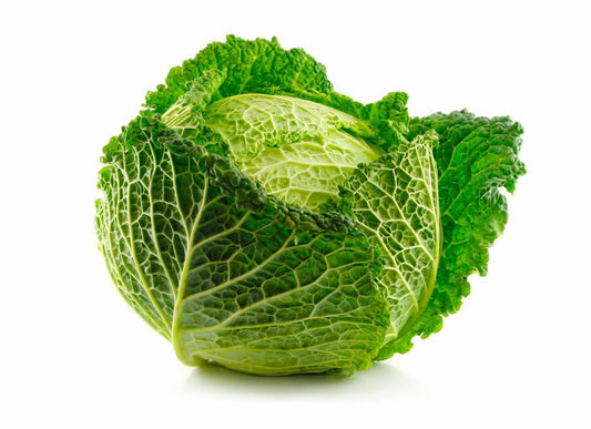 Savoy Cabbage