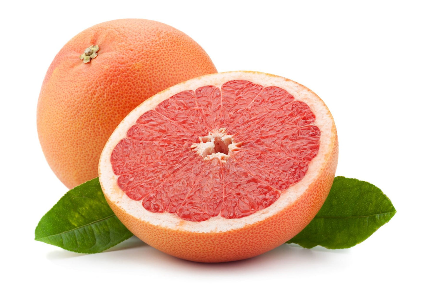Red Grapefruit  - Each