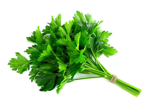 Parsley Flat Leaf - 80G -100G