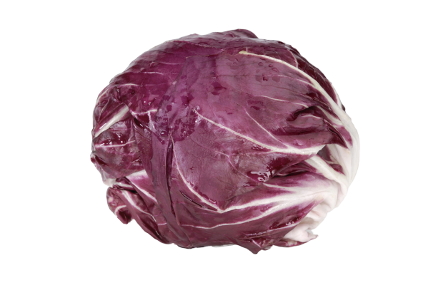 Radicchio
