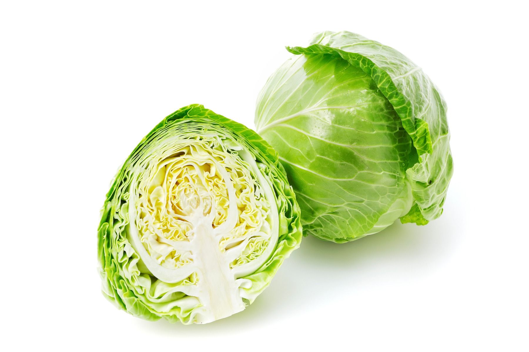 Spring Green Cabbage