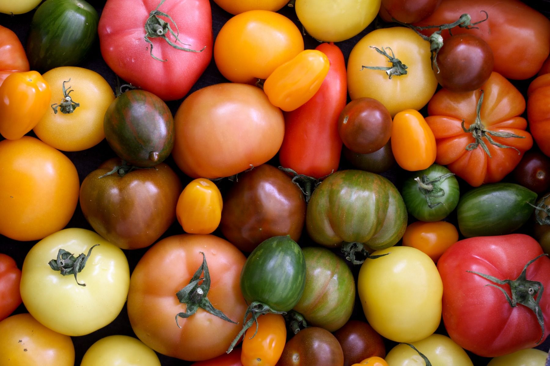 Heritage Tomatoes - 500G