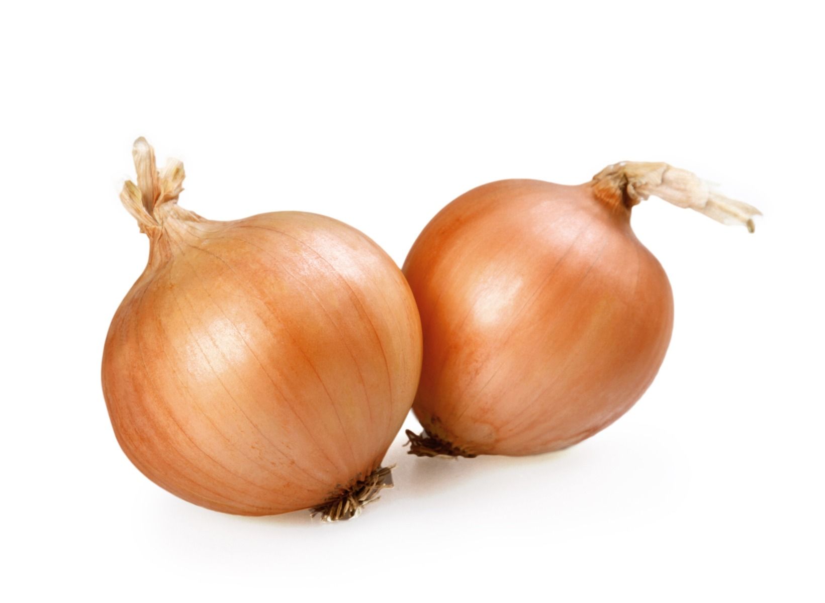 Large Onions - Each