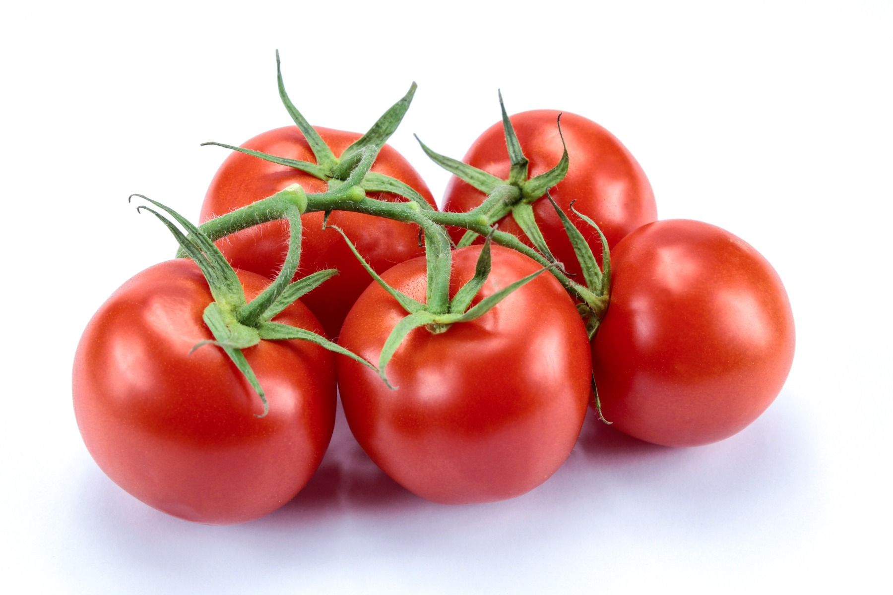 Vine Tomatoes