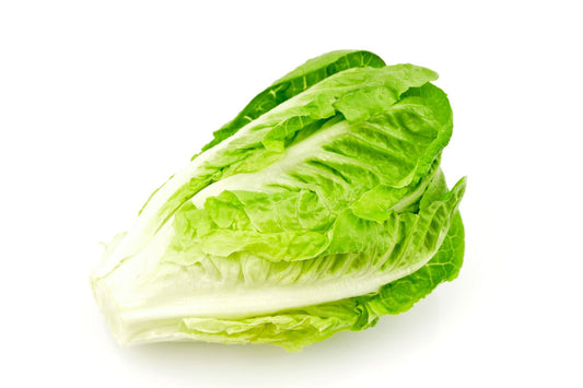 Cos lettuce