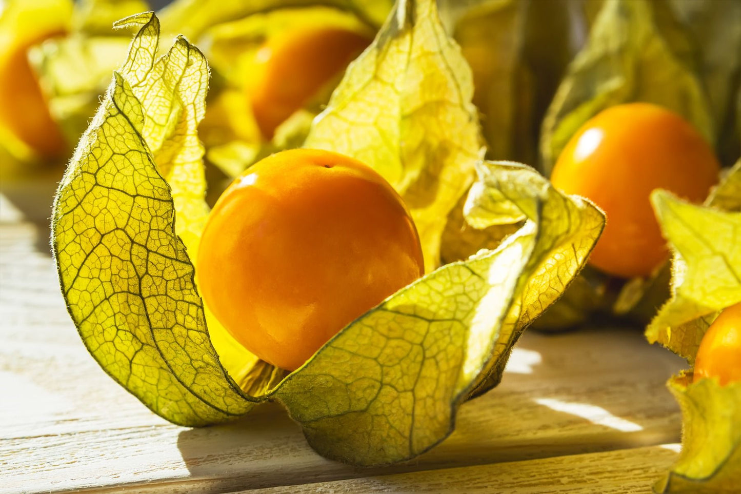 Physalis - 100G