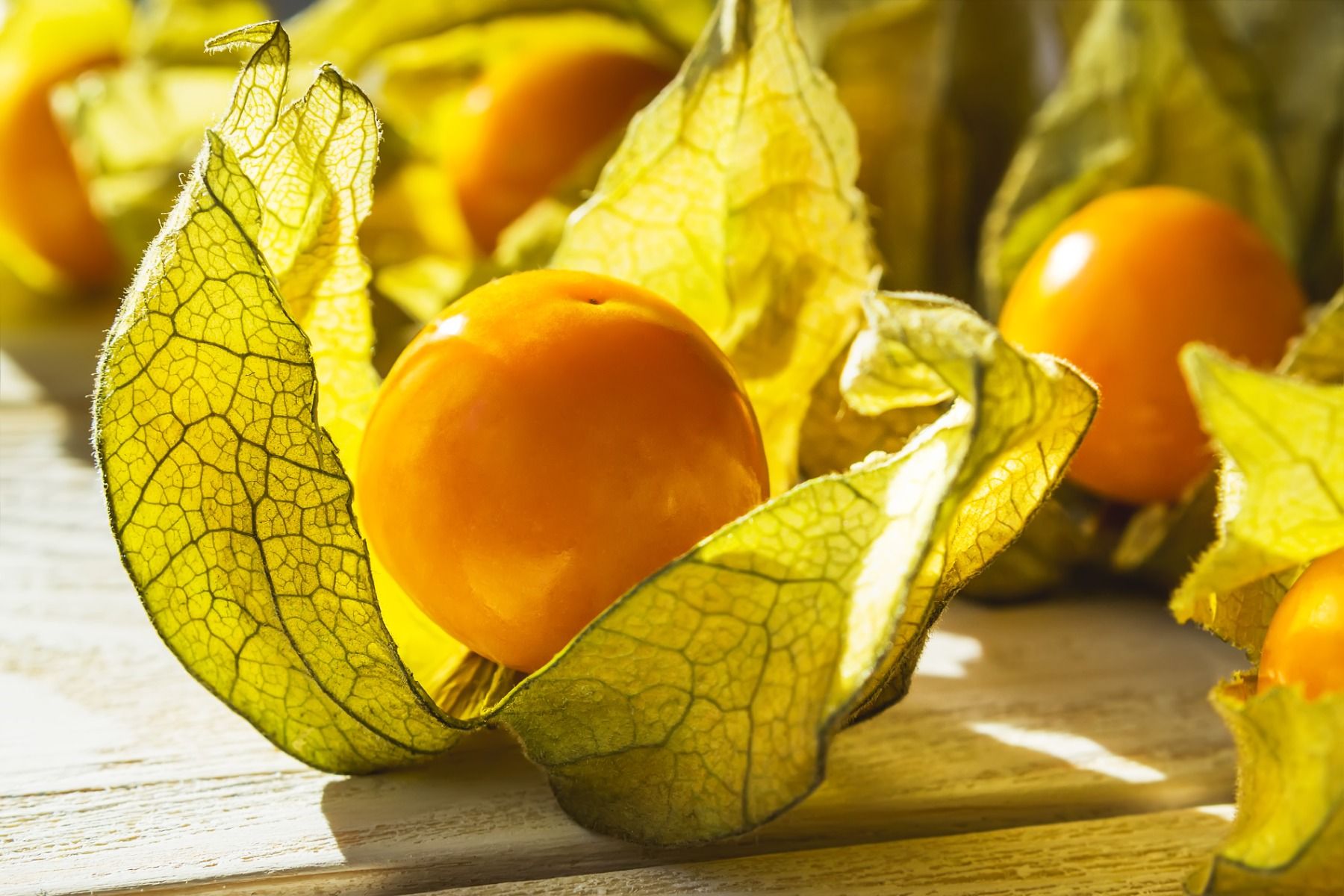 Physalis - 100G