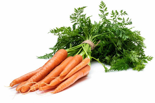 Bunched Carrots