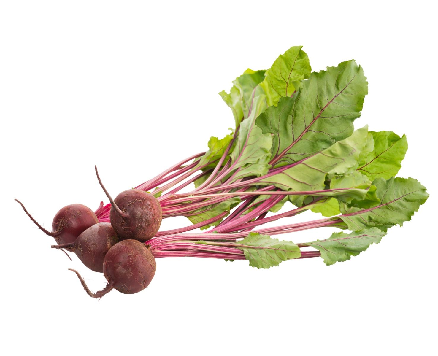 Bunched Beetroot