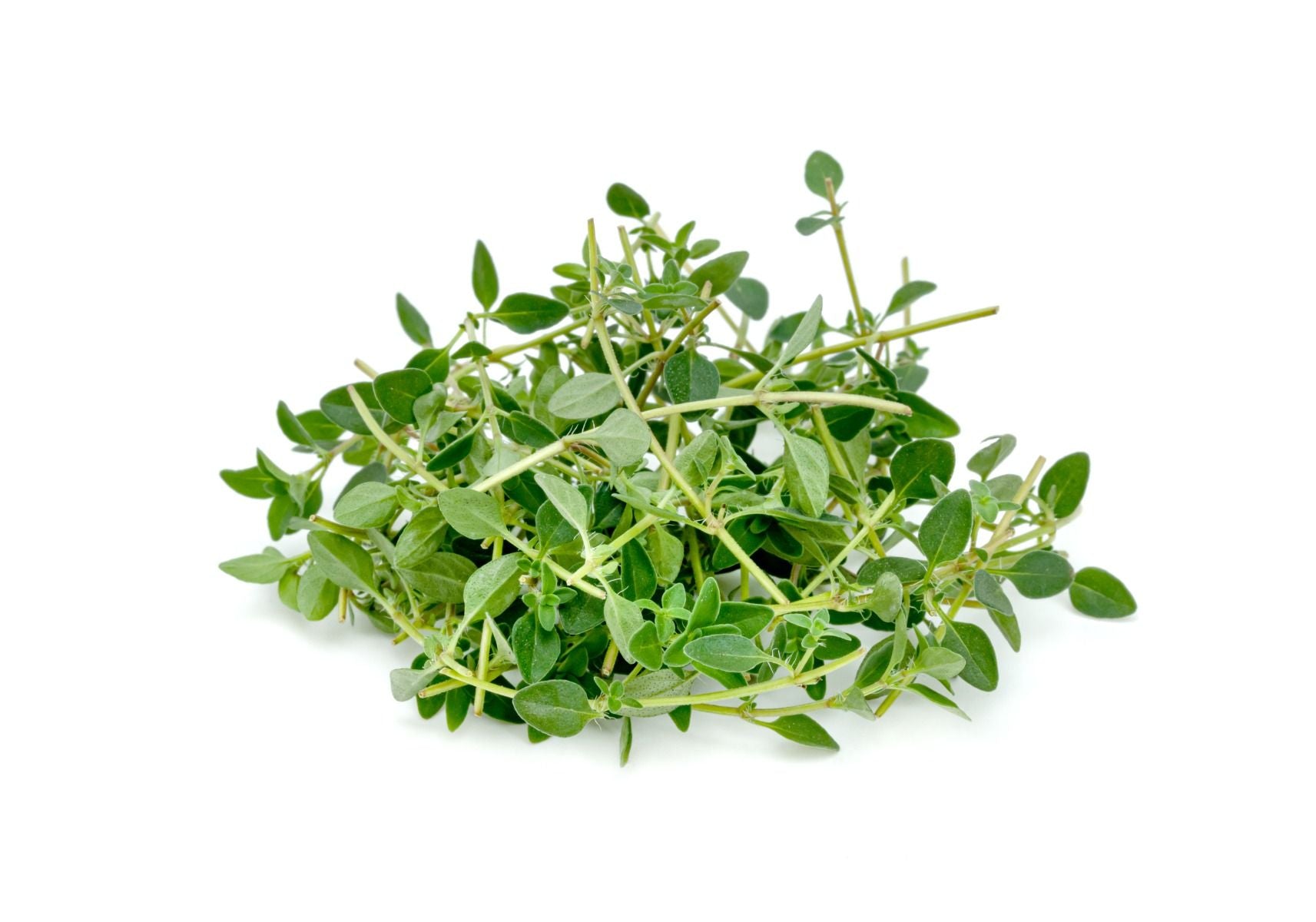 Thyme - 80G-100G