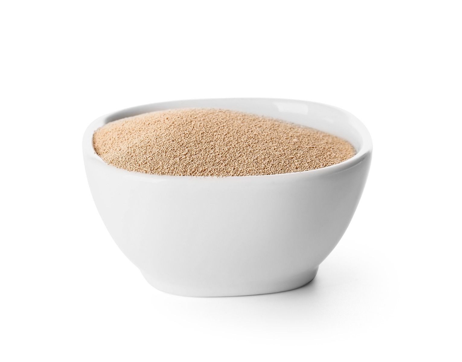 Dried Yeast - 500G