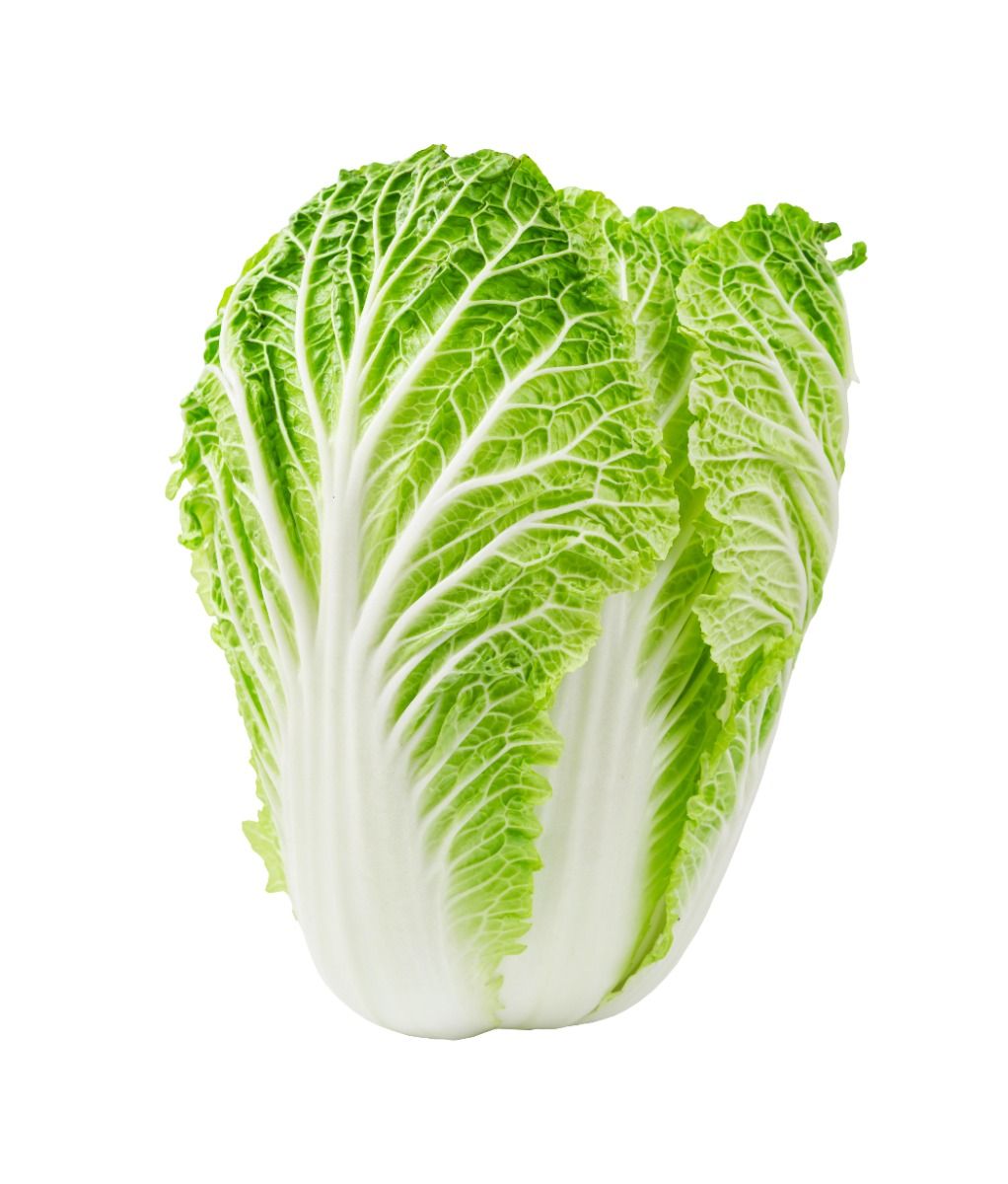 Chinese leaf cabbage