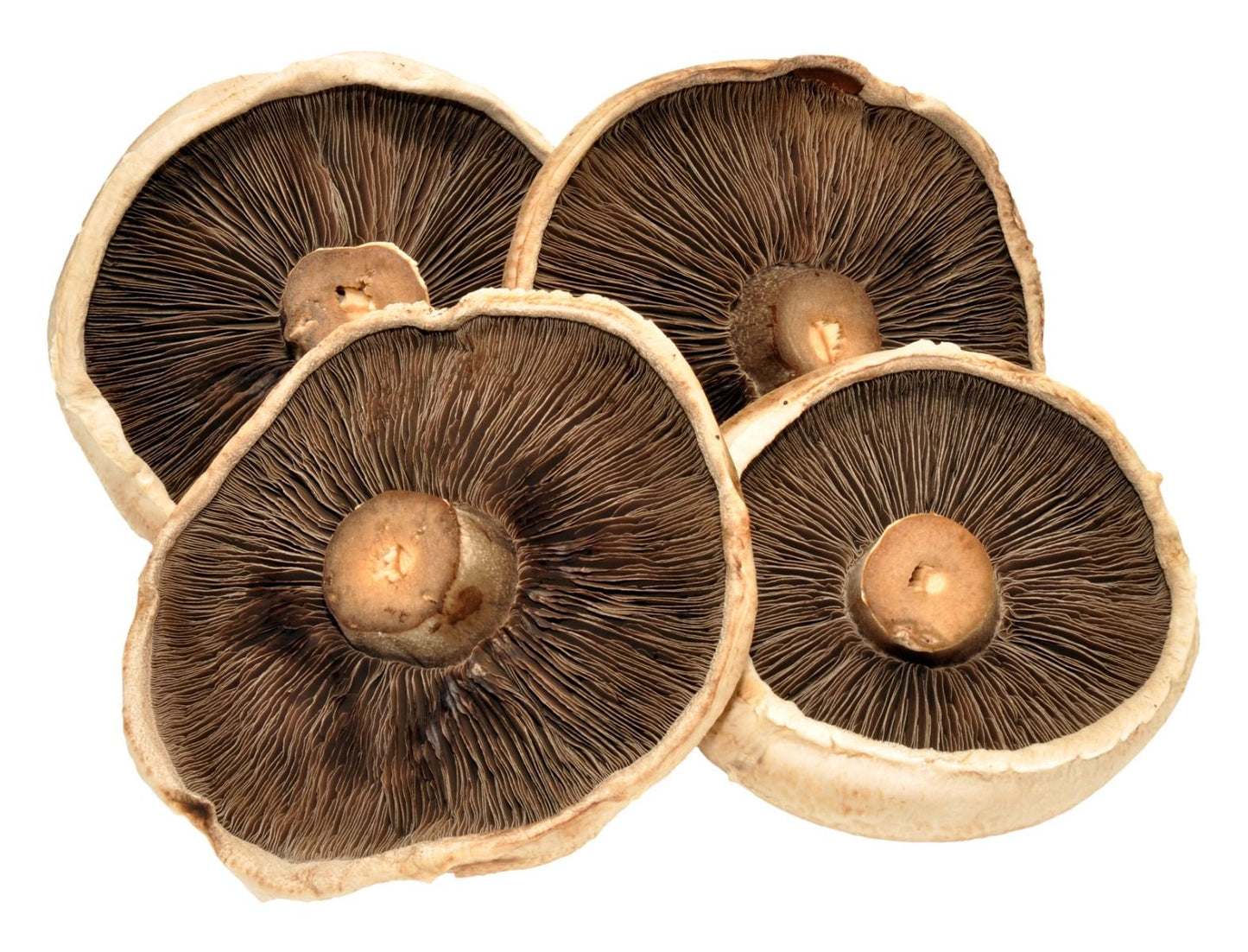 Mushrooms (Flat) - 250G
