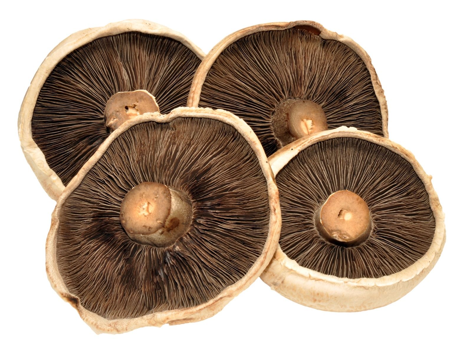 Mushrooms (Flat) - 250G