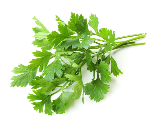 Chervil - 100GRM