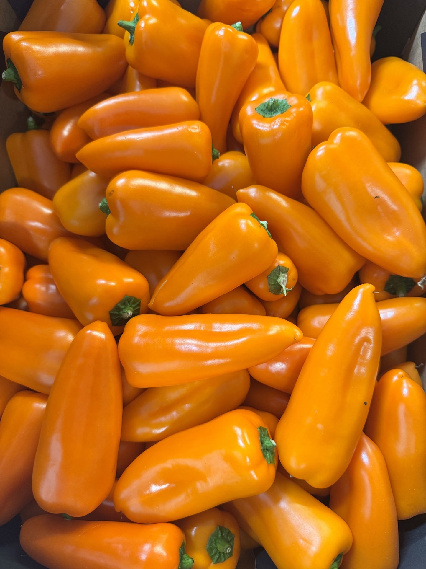 Orange Sweetbite Peppers - 250G