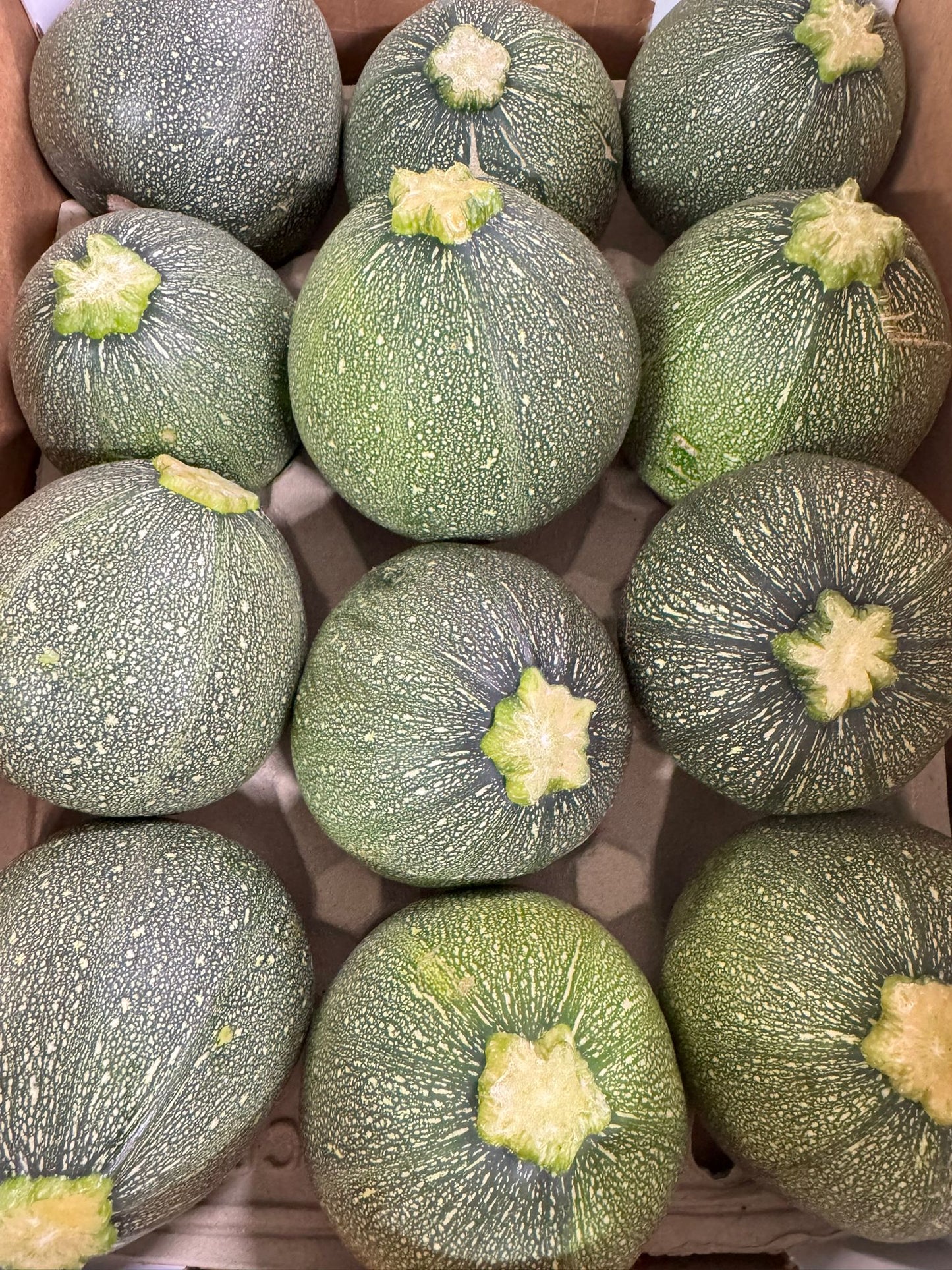 Round Courgette - Each