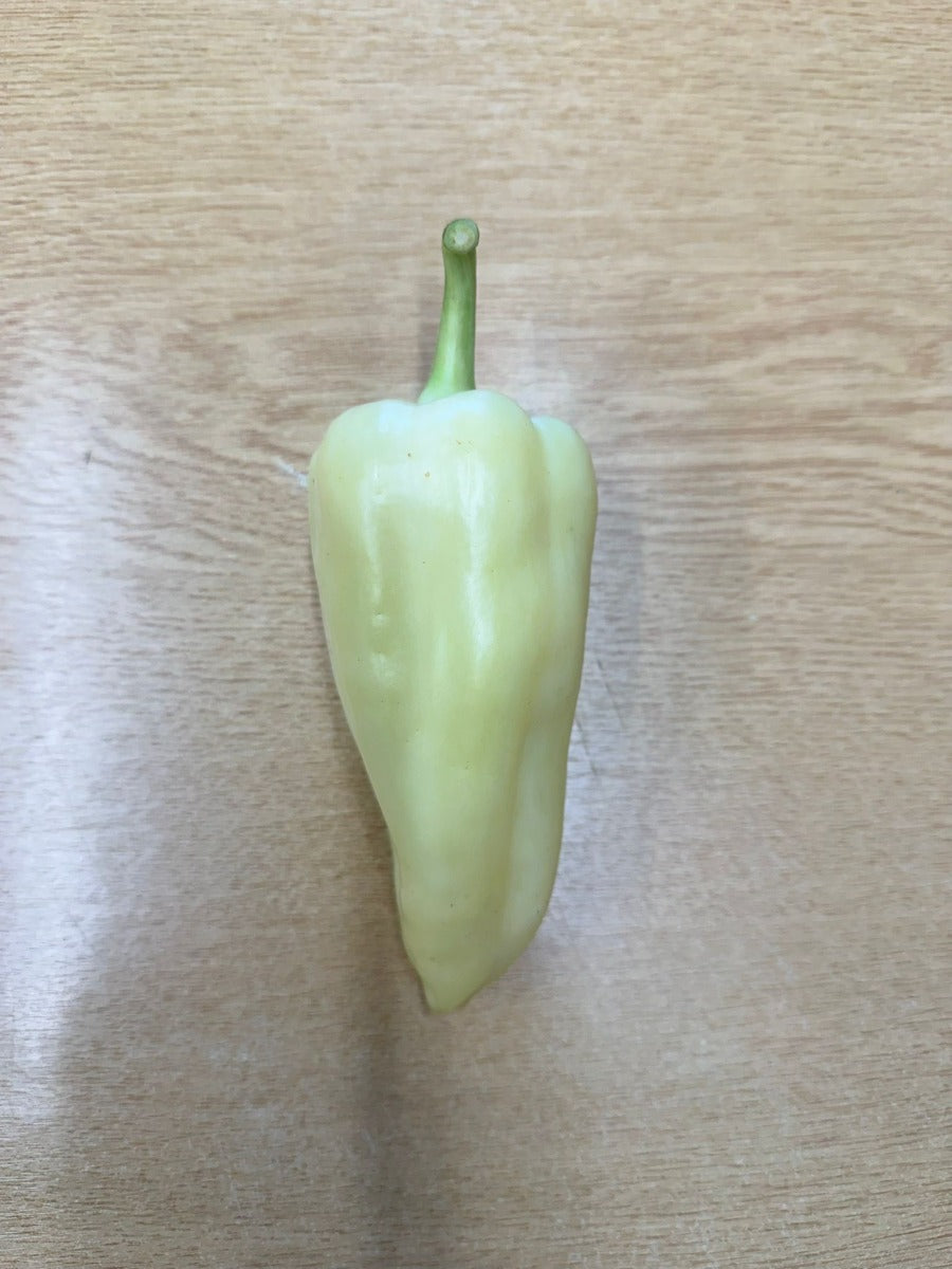White Pinto Pepper - 250G