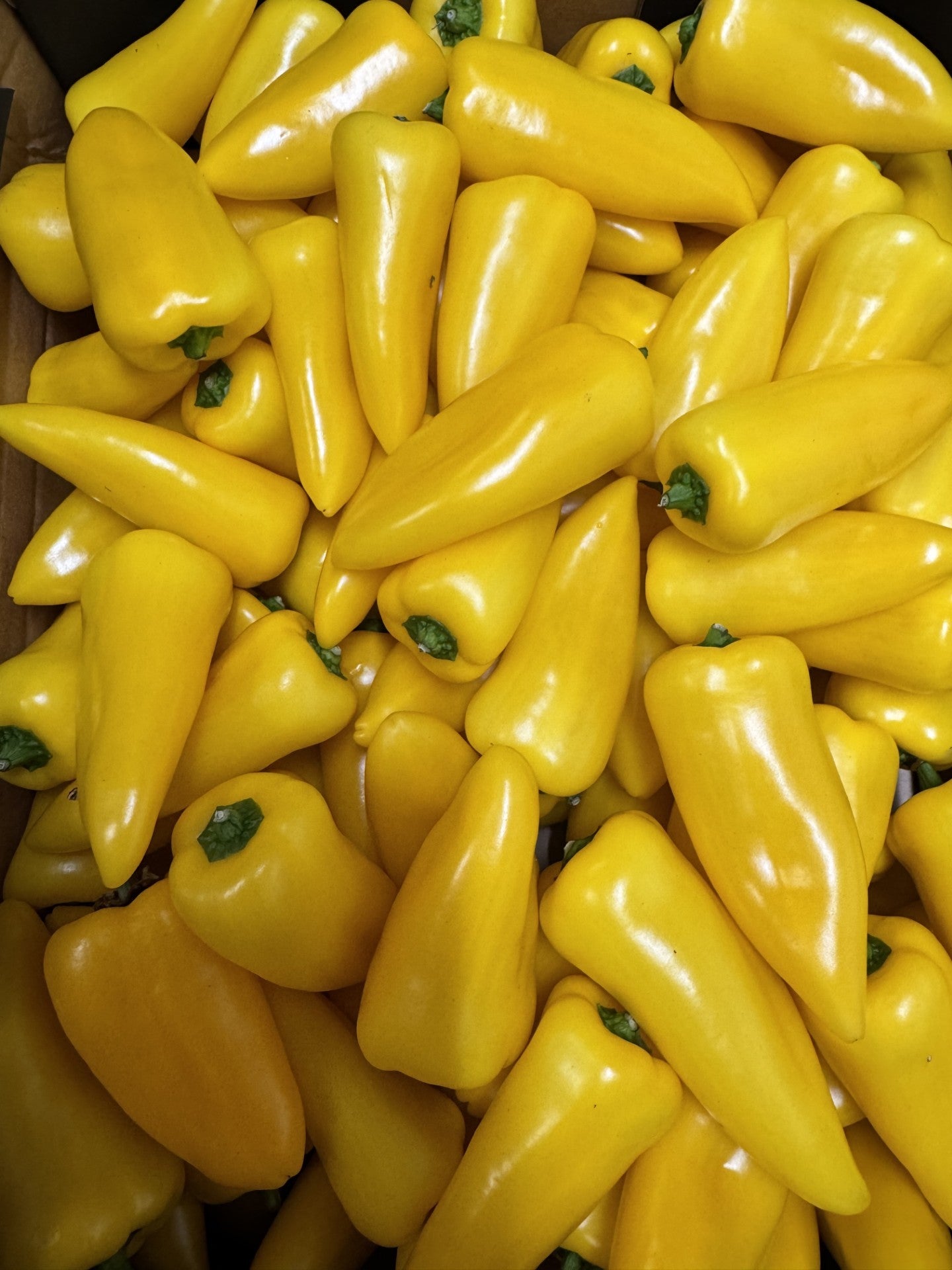 Yellow Sweetbite Peppers - 250G